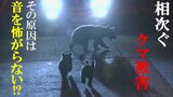 クマ鈴は万全じゃない⁉ 相次ぐクマ被害防ぐためには・・・ | 福島のニュース│TUF