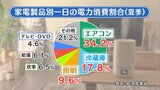 電気料金値上げも欠かせないエアコン『2つの心がけ』で年間2000円の節約に！|TBS NEWS DIG