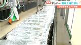 気温が上がると売り上げアップ！？老舗の製氷工場へ潜入！かき氷市場は5年前の2倍に！工場はフル稼働も…見ているだけで涼しい！長野・飯田市|TBS NEWS DIG