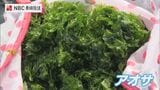 五島 春の訪れ告げるアオサ採り | 長崎のニュース | 天気 | NBC長崎放送