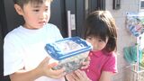 小学3年のバッタ博士が“虫の忍者”をつかまえた！　夏休み 里帰り中の富山で2年連続の珍発見　今年は難易度MAXの絶滅危惧種「カワラバッタ」　|　富山のニュース｜天気・防災｜チューリップテレビ