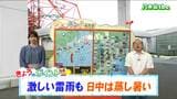 「活発な雨雲がかかり西部を中心に雷雨となるおそれ」tbc気象台 20日|TBS NEWS DIG