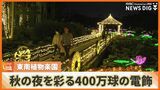 400万球の電飾が夜を彩る イルミネーション全国3位の東南植物楽園で点灯式 | 沖縄のニュース|RBC 琉球放送