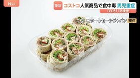 コストコの人気メニュー「ラップサンド」で食中毒 「O157」で小学生男児含む3人入院　調理した厨房を当面営業禁止に　名古屋市・守山倉庫店|TBS NEWS DIG