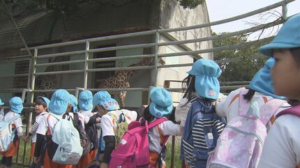 生まれたばかりの「心夏」も見納め 熊本市動植物園ゾウやキリンと