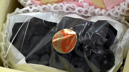JA岡山が岡山県産の白桃とブドウを特別価格で販売 エキチカひろばで18