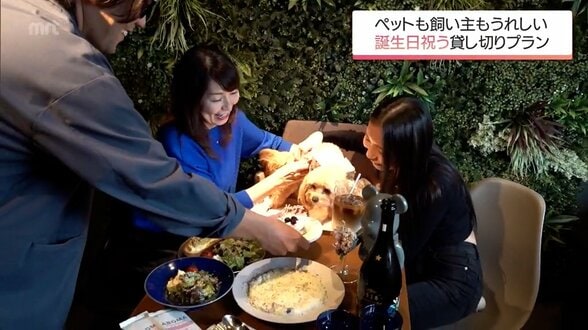 獣医師提携ホテルに愛犬用ケーキ 多様化するペットビジネスが活況 | MRTニュース | MRT宮崎放送