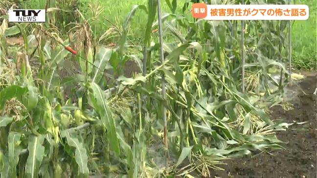 「衝撃がきて後ろに押し倒された」と語る男性の体には生々しい傷...夏祭り帰りの男性(65)が "街灯のない路上" でクマに襲われる　当日現場周辺ではすでに異変が...男性が当時の状況を語る（山形・戸沢村）|TBS NEWS DIG