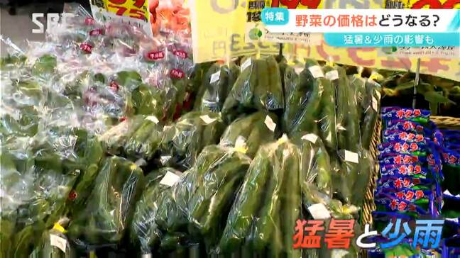 猛暑＆少雨　どうなる？野菜の価格　今一番価格の変動が大きいのは…キュウリとトマト　価格高騰が続くのはサニーレタス　お買い得なのは？|TBS NEWS DIG