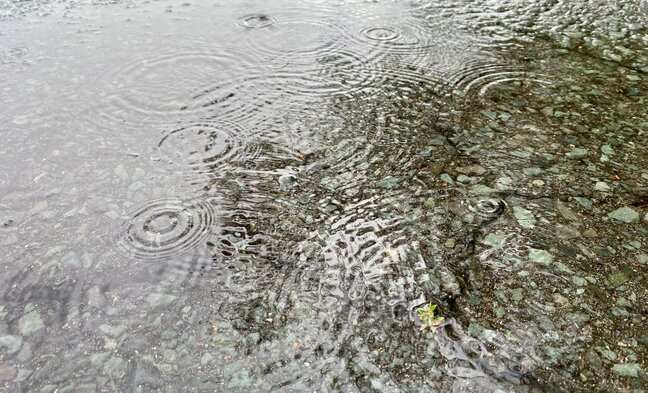 【全国天気】東北地方北部が19日に梅雨明け　青森・秋田・盛岡にどのくらい梅雨期間に雨が降ったか　気象庁発表|TBS NEWS DIG