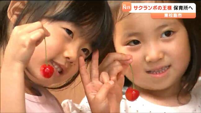 「サクランボの王様＝佐藤錦」友好都市から　園児への口元へ届く　宮城・東松島市|TBS NEWS DIG