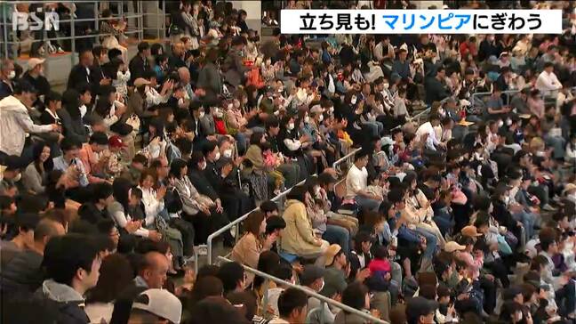 イルカショーは立ち見の人も! 新潟市水族館マリンピア日本海はゴールデンウィークでにぎわい|TBS NEWS DIG