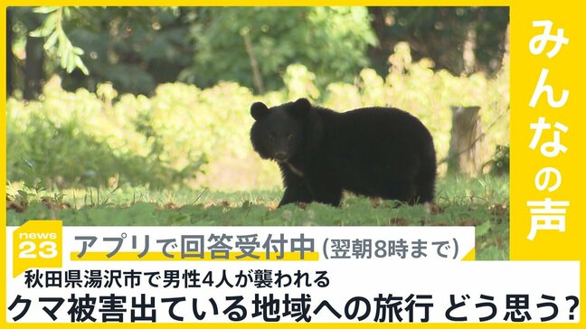 秋田県湯沢市で男性4人が立て続けにクマに襲われる 被害の出ている地域への旅行 どう思う?【news23】|TBS NEWS DIG