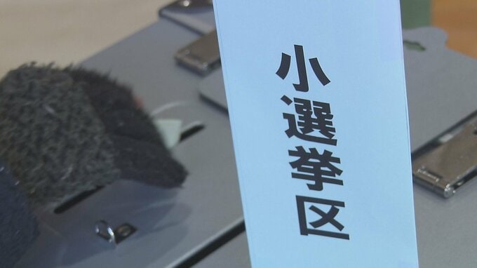 3選挙区に計12人が立候補　衆院選投票　今夜即日開票　大分　|TBS NEWS DIG