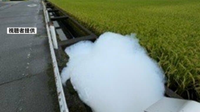 【謎の白泡】用水路を覆う大量の泡…死んだ小魚も　一体何が起きているのか？水田への影響は？　熊本市が原因調査へ|TBS NEWS DIG
