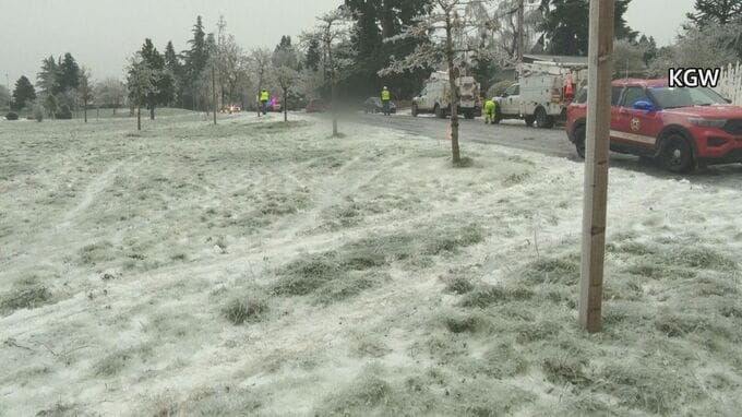 “猛烈な寒波”アメリカで40人以上死亡　電線が車に落ち3人が感電死