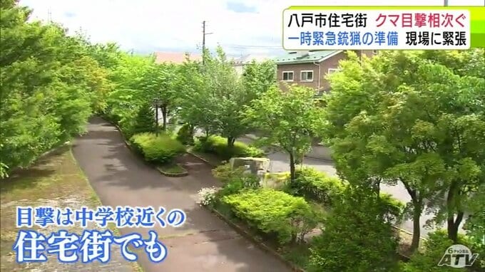 「玄関もクマが入ってこないように」クマ目撃相次ぐ八戸市　中学校から約300ｍの住宅街でも…市では一時緊急銃猟の準備と訓練　近くの人は「非常に緊張した状態で毎日を送らないといけない」|TBS NEWS DIG
