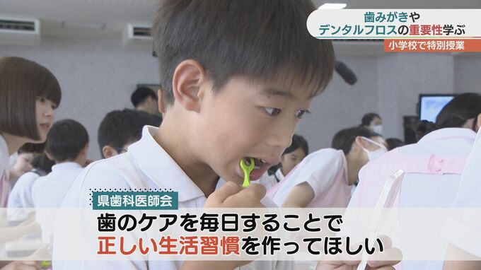 歯と口の健康週間「歯は最強のアイテム！」児童が歯みがきの重要性学ぶ　山口|TBS NEWS DIG
