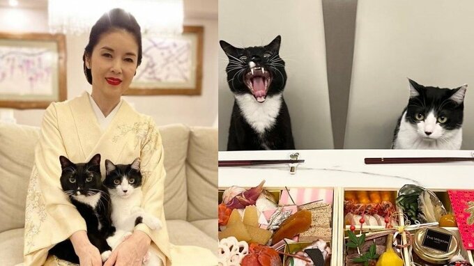 【藤あや子】愛猫マルが絶叫顔「おせちキターーーーーーーーー」新年早々フォロワー大喜利状態|TBS NEWS DIG