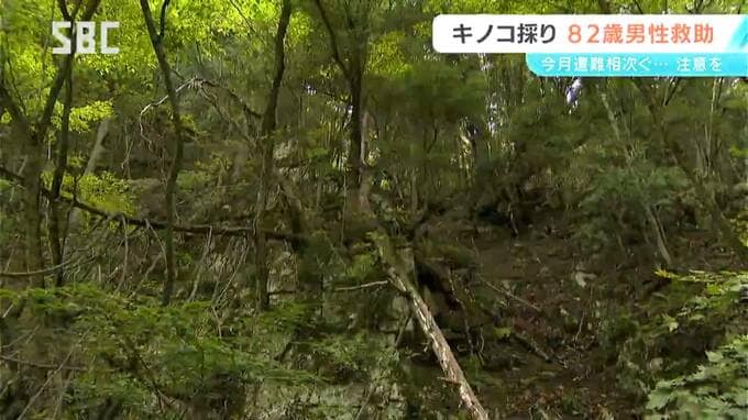 キノコ採りで行方不明だった男性を救助　松本市内の病院に県警ヘリで搬送　ろっ骨や顔の骨を折る大けが　|　SBC NEWS | 長野のニュース | SBC信越放送