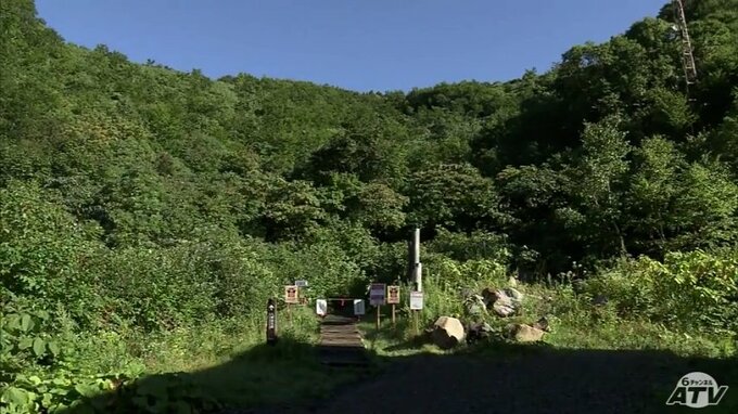 青森八甲田・14日と21日に分けて3つの路線ずつ登山道の「規制解除」へ　クマによる女性死亡事故が発生現場の周辺|TBS NEWS DIG