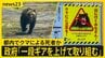 クマに襲われた可能性…“上半身のない遺体”が東京・埼玉にまたがる峠に　各地で相次ぐクマ被害「一段ギアを上げて取り組む」政府が対策会議【news23】|TBS NEWS DIG