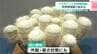 “白いサボテン”など134鉢が牧野植物園に大集合！　「サボテンと多肉植物展」が開催【高知】　|　高知のニュース・天気｜KUTV NEWS | KUTVテレビ高知