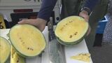 4年ぶりにスイカの朝市開催 長蛇の列 甘さが好評 愛知県刈谷市 | 名古屋・愛知・岐阜・三重のニュース【CBC news】 | CBC web
