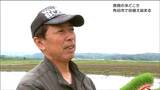 ゴールデンウイークは家族総出で田植え「みんなが欲しがるようなコメ作りがモットー」宮城・角田市|TBS NEWS DIG