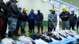 八戸港で競り納め　正月の食卓飾るマグロやアワビなど約11トン上場　|　青森のニュース│ATV NEWS│青森テレビ