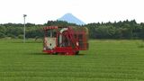 鹿児島の荒茶生産量が初の日本一 50年越しの全国1位 二番茶以降で巻き返し | 鹿児島のニュース|MBC NEWS|南日本放送