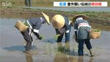 神様が田に降り立つ“目印”を描く…佐渡の『車田植え』 豊作を願う重要無形民俗文化財 新潟県 | 新潟のニュース・天気|BSN NEWS|BSN新潟放送