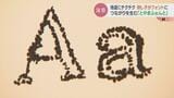 刺し子がフォントに?富山県デザイン展最高賞「とやまふぉんと」地道にチクチク・・・広がる輪|TBS NEWS DIG