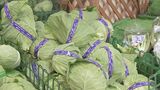 野菜の高値続く　平年比キャベツ2.6倍 はくさい2.5倍　農水省「当面平年を上回って推移」|TBS NEWS DIG