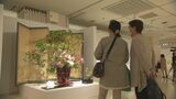 15の流派が垣根を超えて競演！「総合花展 金沢展」24日開幕　|　石川県のニュース｜MRO北陸放送