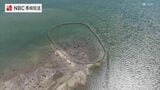 長崎ばーどアイ 水ノ浦のスクイ漁場(諫早市)|TBS NEWS DIG