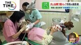 診察室で「推し活」？お腹に「犬」が乗ってくれる？生き残りをかけ進化する歯医者【THE TIME,】|TBS NEWS DIG