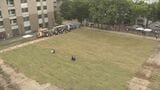 大学キャンパスの中心に芝生広場を…「芝張りイベント」は学生提案 信州大学松本キャンパス | SBC NEWS | 長野のニュース | SBC信越放送
