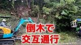 木が倒れ道路を塞ぐ 交通規制 長崎市多以良町 | 長崎のニュース | 天気 | NBC長崎放送