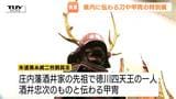 致道博物館で特別展「武装美伝」開催中　徳川四天王・酒井忠次の甲冑や破軍星旗など展示　8月31日まで（山形・鶴岡市）|TBS NEWS DIG