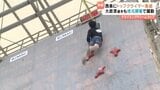 全国トップクライマー集結のドリームカップが西条市で初開催 地元松山市出身の大政涼選手が予選で圧巻の5秒00を記録 愛媛・西条市|TBS NEWS DIG