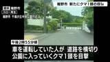 裾野市で新たにクマの目撃 市街地に近い住宅地=静岡・裾野市 | 静岡のニュース | SBSNEWS | 静岡放送