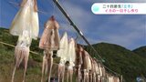 「焼いた時の香ばしさと甘みを味わって」“立冬”の風物詩　イカの天日干し|TBS NEWS DIG