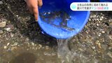 「思ったよりもでかい」高知市土佐山の自然に初めて触れる　鏡川で児童がアユ１３００匹放流|TBS NEWS DIG