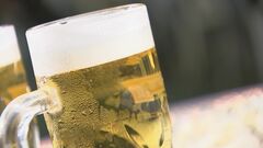 8月の「ビール類」販売実績7％減 「第3のビール」落ち込むも「ビール回帰」は続く| TBS CROSS DIG with Bloomberg