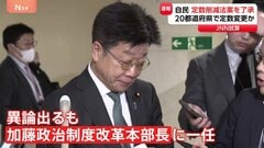 「拙速で乱暴なやり方」自民党内で「議員定数削減」議論が紛糾　異論相次ぐも最後は本部長に一任| TBS CROSS DIG with Bloomberg
