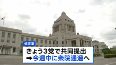 年金制度改革関連法案の修正案きょう国会に提出へ　基礎年金の底上げ盛り込む　今週中に衆院通過の見通し| TBS CROSS DIG with Bloomberg