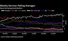 マスク氏が支持の極右政党「ドイツのための選択肢」とは－QuickTake| TBS CROSS DIG with Bloomberg