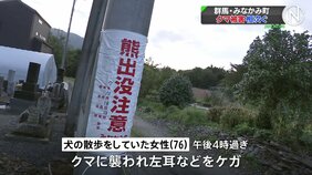 群馬・みなかみ町でクマ被害相次ぐ 犬の散歩をしていた76歳女性もクマに襲われけが 左耳などをひっかかれる|TBS NEWS DIG
