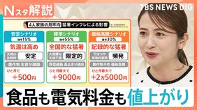 食品も電気料金も“値上げの秋”　猛暑で最大2万5000円負担増か　「Zの法則」と電気代節約術で調整を【Nスタ解説】|TBS NEWS DIG